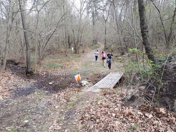 Fase di Istituto di Orienteering